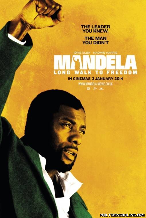 Ver Mandela: Del mito al hombre / Mandela: Long walk to freedom (2014) Online Gratis