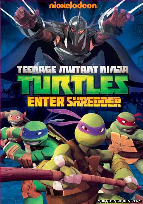 Ver Teenage Mutant Ninja Turtles: Enter Shredder (2013) Online Gratis