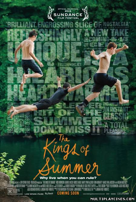 Ver Los Reyes Del Verano / The Kings of Summer (AKA Toy's House) (2013) Online Gratis
