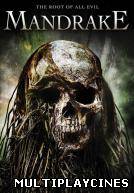 Ver Mandrake Online Gratis