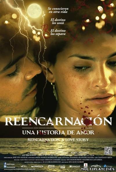 Ver Reencarnación, una historia de amor (Sangre de familia) (2012) Online Gratis