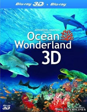 Ver Oceano Maravilloso (2009) Online Gratis