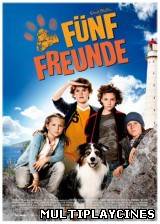 Ver Las aventuras de Los cinco (Fünf Freunde (Five Friends)) (2012) Online Gratis