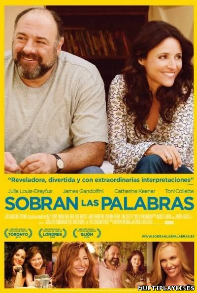 Ver Sobran las palabras / Una segunda oportunidad  (Enough said) (2013) Online Gratis