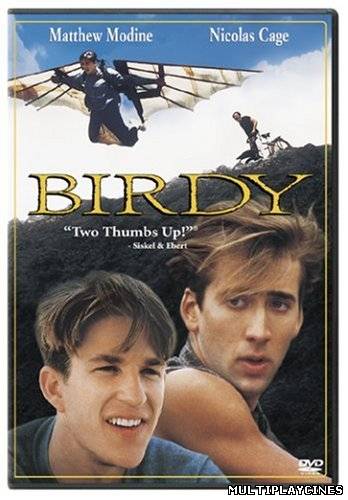 Ver Birdy (1984) Online Gratis
