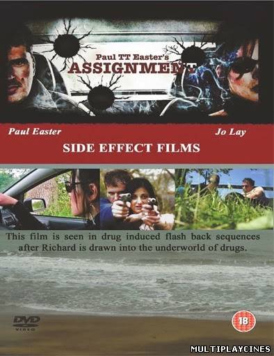 Ver Assignment (2013) Online Gratis