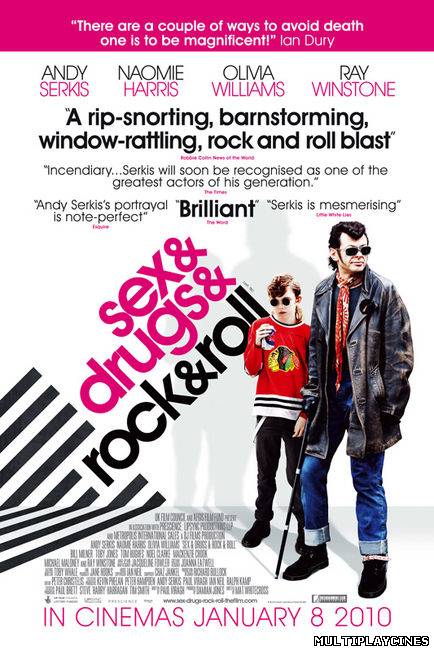 Ver Sex & Drugs & Rock & Roll (2010) Online Gratis