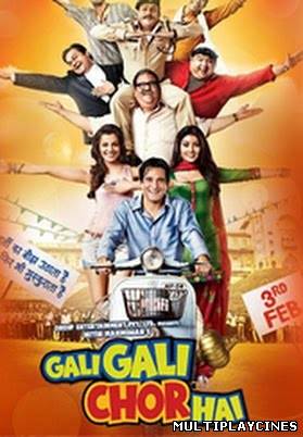 Ver Gali Gali Main Chor Hai (2012) Online Gratis