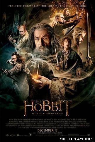Ver The Hobbit: The desolation of Smaug (2013) Online Gratis