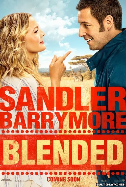 Ver Blended (Juntos y revueltos) (Luna de miel en familia) (2014) Online Gratis
