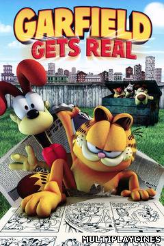 Ver Garfield en la vida real (2007) Online Gratis