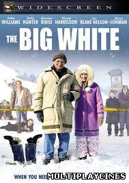 Ver Un golpe de suerte (2005) Online Gratis