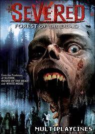 Ver Severed (2005) Online Gratis