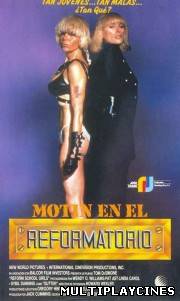 Ver Motin en el reformatorio de mujeres 1986 Online Gratis