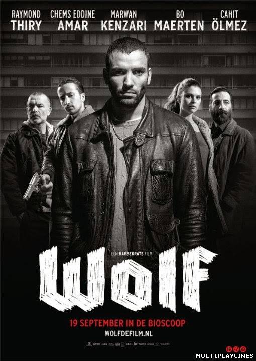 Ver Wolf (2013) Online Gratis