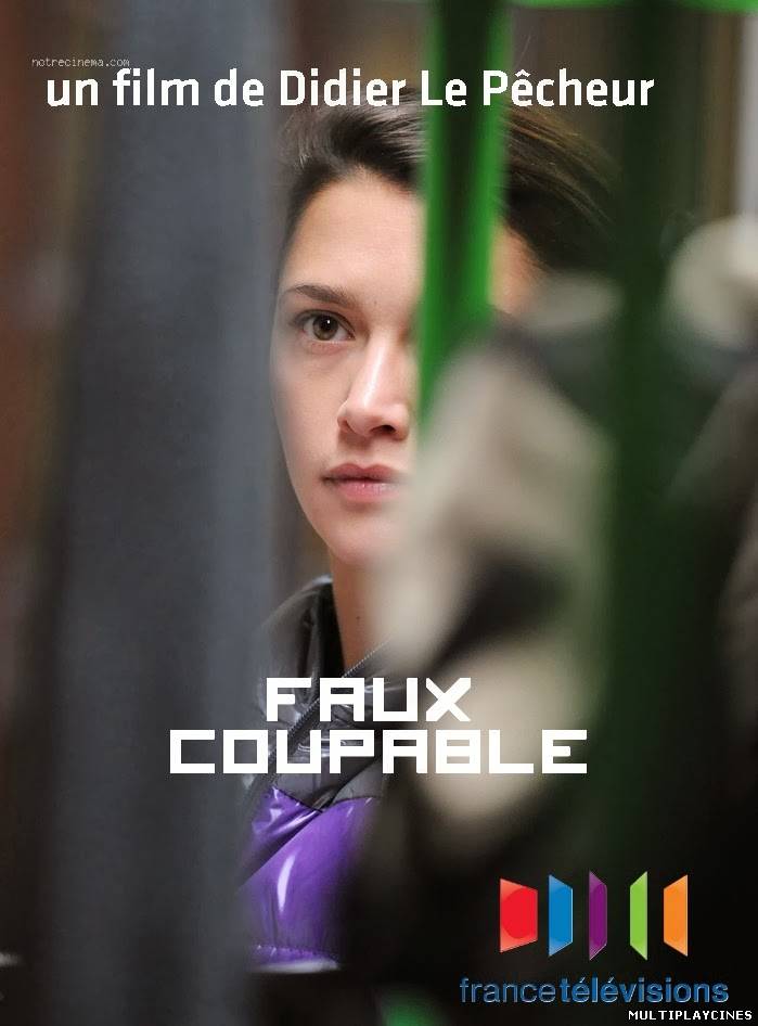 Ver Falso culpable (Faux coupable) (2011) Online Gratis