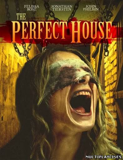 Ver The Perfect House (2013) Online Gratis