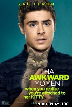 Ver Las novias de mis amigos / That Awkward Moment (2014) Online Gratis