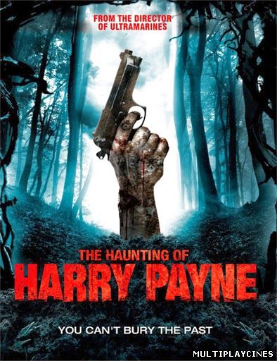 Ver The Haunting of Harry Payne (2014) Online Gratis