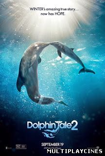 Ver Dolphin Tale 2 (Winter El Delfín 2) (2014) Online Gratis
