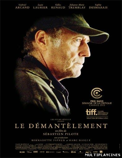 Ver Le démantèlement (2013) Online Gratis