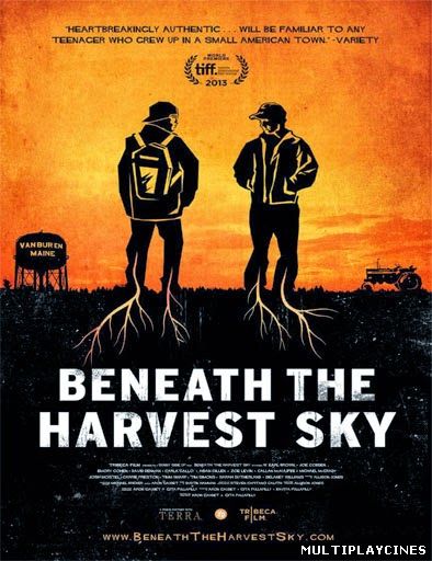 Ver Beneath The Harvest Sky (2013) Online Gratis