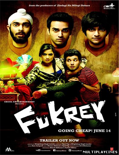 Ver Fukrey (2013) Online Gratis