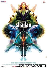 Ver Shaitan (2011) Online Gratis