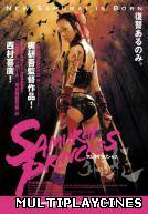 Ver Samurai Princess Online Gratis