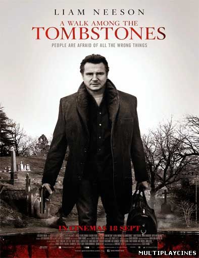 Ver Caminando entre las tumbas / A walk among the tombstones (2014) Online Gratis