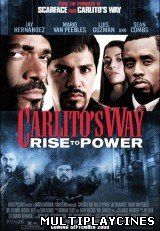 Ver Carlito's Way: Ascenso al Poder / Carlito's Way: Rise to Power (2005) Online Gratis