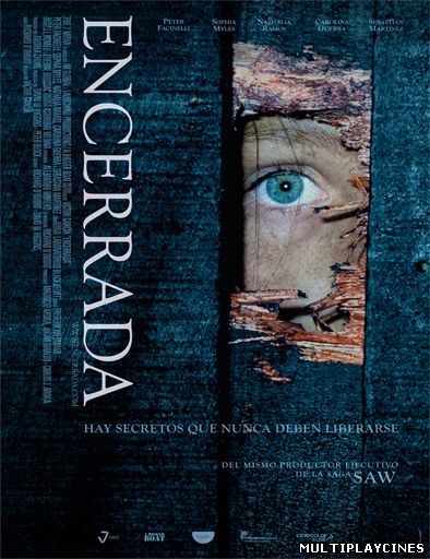 Ver Gallows Hill (Encerrada) (2013) Online Gratis
