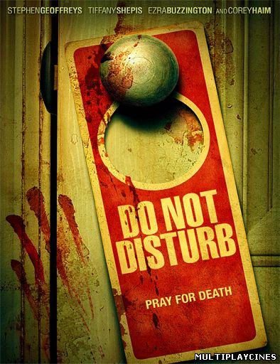 Ver Do Not Disturb (2013) Online Gratis