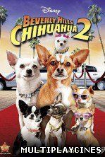 Ver Un chihuahua en Beverly Hills 2 (2011) Online Gratis