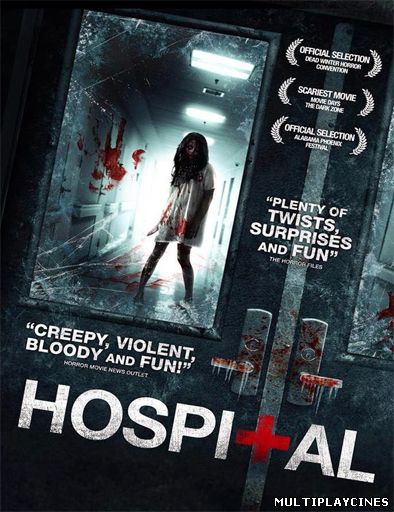 Ver The Hospital (2013) Online Gratis