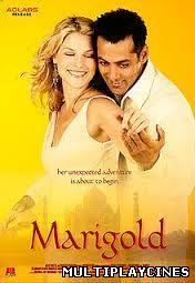 Ver Marigold (2007) - O aventura in India Online Gratis