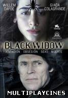 Ver Black widow Online Gratis