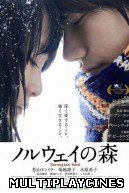 Ver Tokio Blues / Noruwei no mori (Norwegian Wood) (2014) Online Gratis
