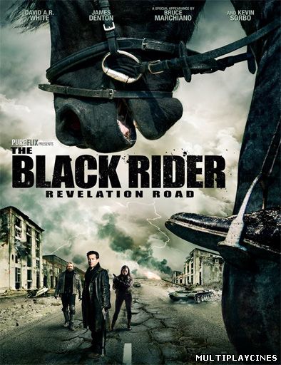 Ver The Black Rider: Revelation Road (2014) Online Gratis
