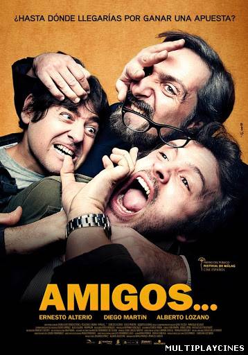Ver Amigos… (2011) Online Gratis