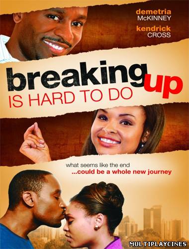 Ver Breaking Up Is Hard To Do (2010) Online Gratis