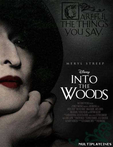 Ver En El Bosque / Into the woods (2014) Online Gratis