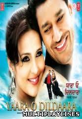 Ver Yaara O Dildaara (2011) Online Gratis