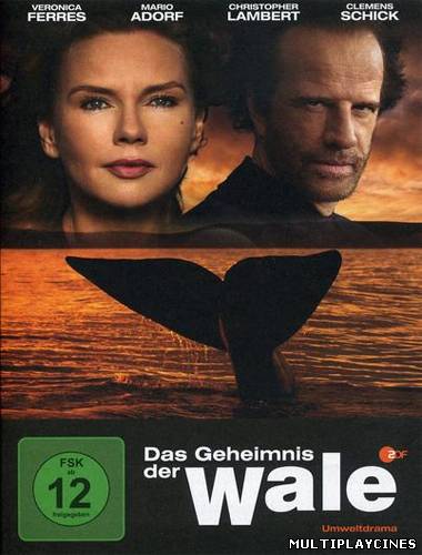 Ver El secreto de las ballenas (2010) Online Gratis