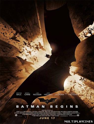 Ver Batman Inicia (Batman Begins) (2005) Online Gratis