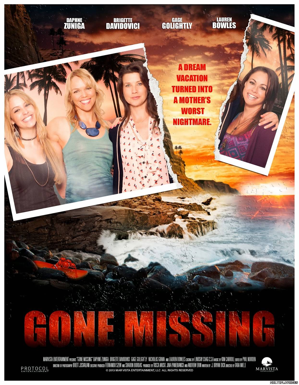 Ver Desaparecida / Gone Missing (2013) Online Gratis