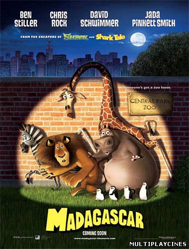 Ver Madagascar 1 (2005) Online Gratis