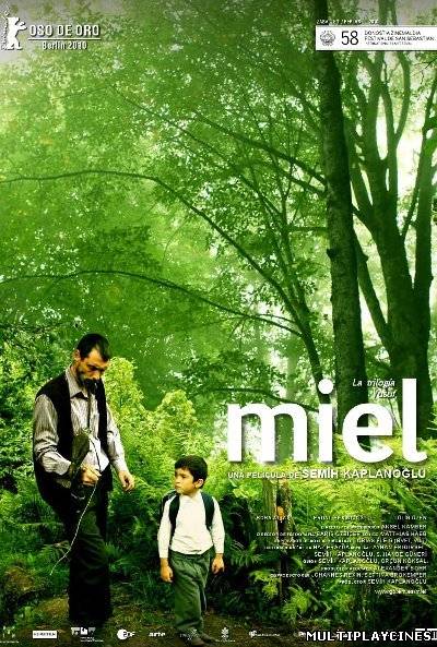 Ver Miel (2010) Online Gratis