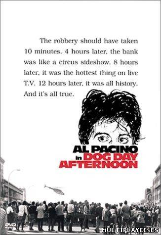 Ver Tarde de perros (1975) Online Gratis