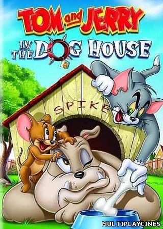 Ver Tom And Jerry In The Dog House (2012) Online Gratis